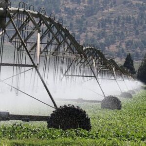 Agricultores que investem na irrigação recebem subsídio estatal na Ucrânia