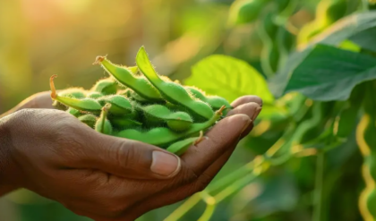 A DFZ transferiu mais de 1,1 milhão de BGN para intervenções agroecológicas para a proteção e cultivo de variedades ameaçadas e resistentes